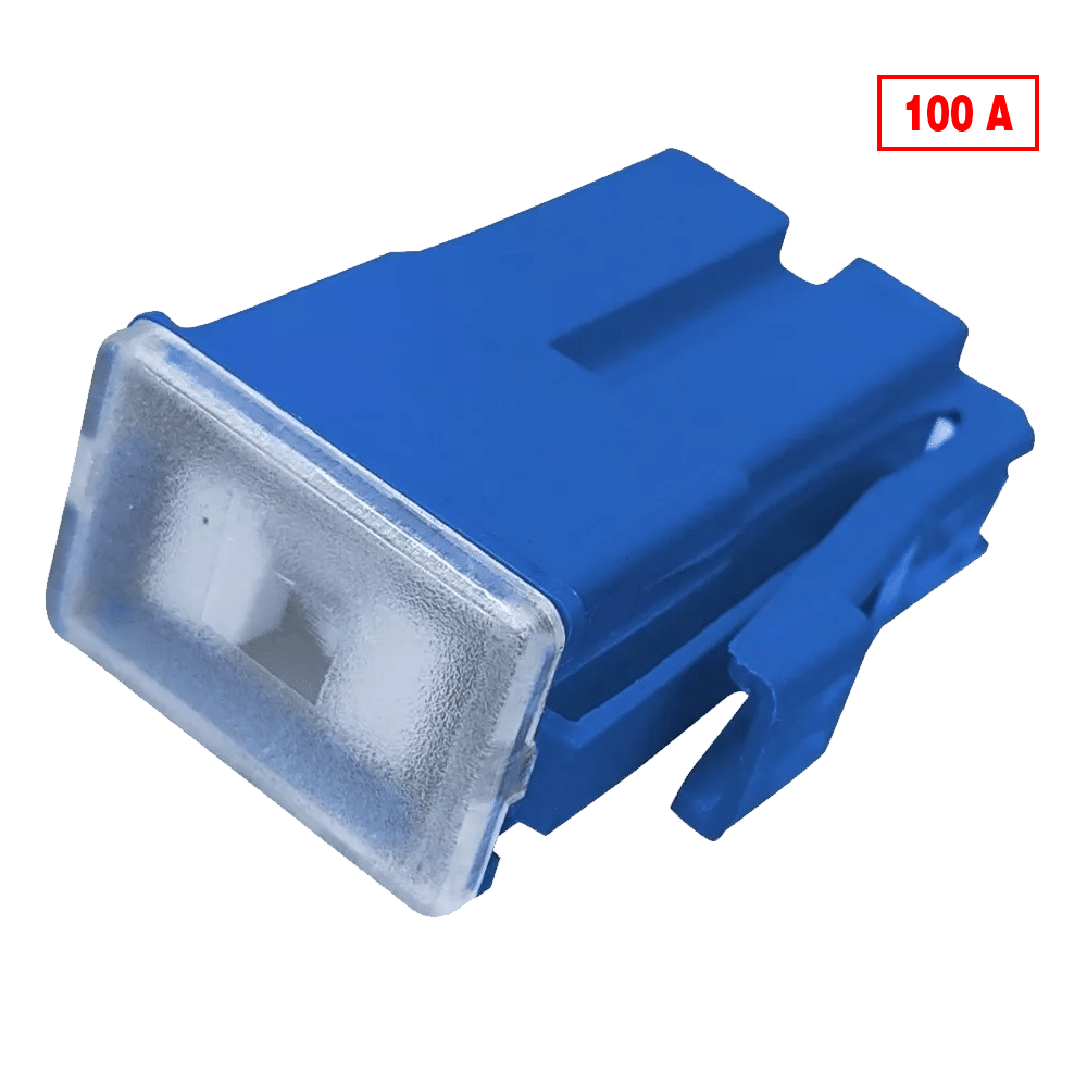 FUSIBLE BIG H C/CLIP 100AMP X10PZS